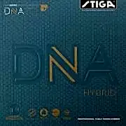 DNA HYBRID H